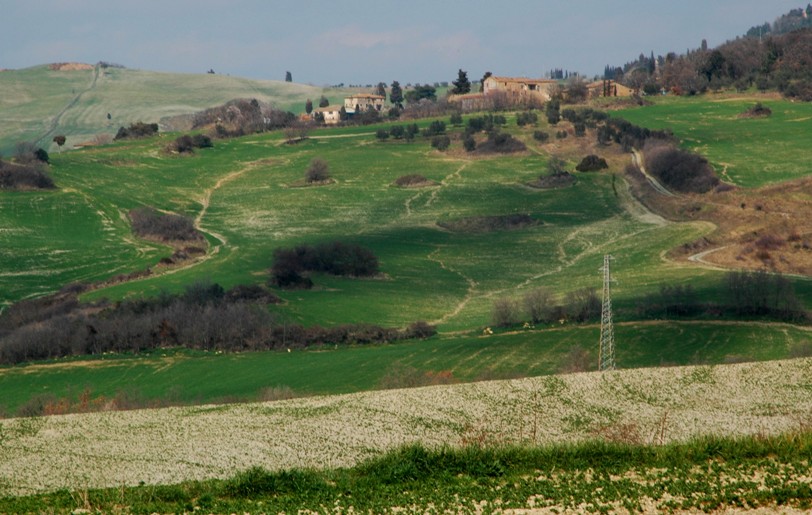 Volterra